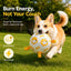 Interactive Dog Soccer Ball with Grab Tabs - Inflatable