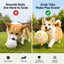 Interactive Dog Soccer Ball with Grab Tabs - Inflatable