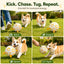 Interactive Dog Soccer Ball with Grab Tabs - Inflatable