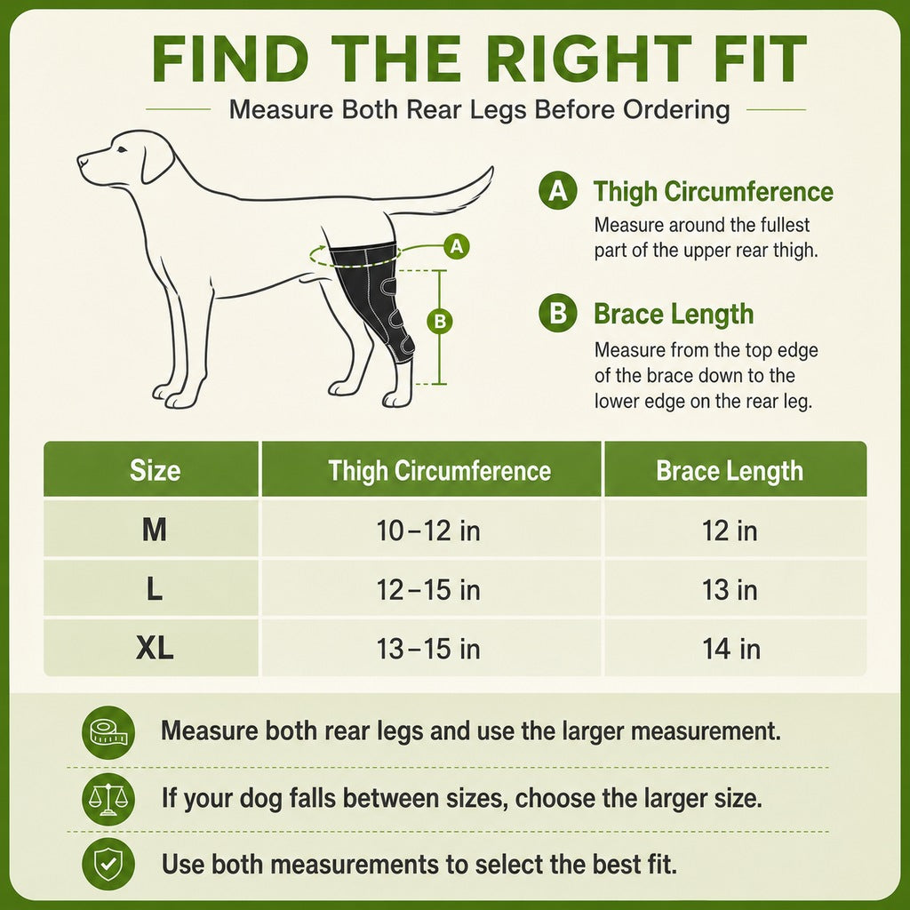Dual Rear Leg Dog Brace with Harness for Weak Hind Legs