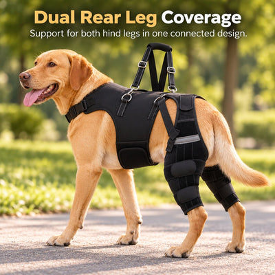Dual Rear Leg Support Harness with Lift Handle for Dogs