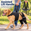 Dual Rear Leg Support Harness with Lift Handle for Dogs
