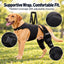 Dual Rear Leg Support Harness with Lift Handle for Dogs
