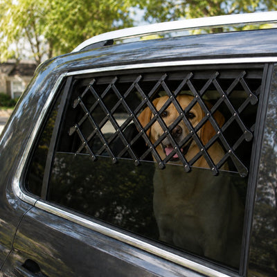 Expandable Dog Car Window Guard