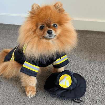 Fire Fighter Hero Dog Halloween Costume with Hat