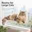 Foldable Cat Window Hammock with Suction Cup Mount