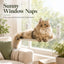 Foldable Cat Window Hammock with Suction Cup Mount