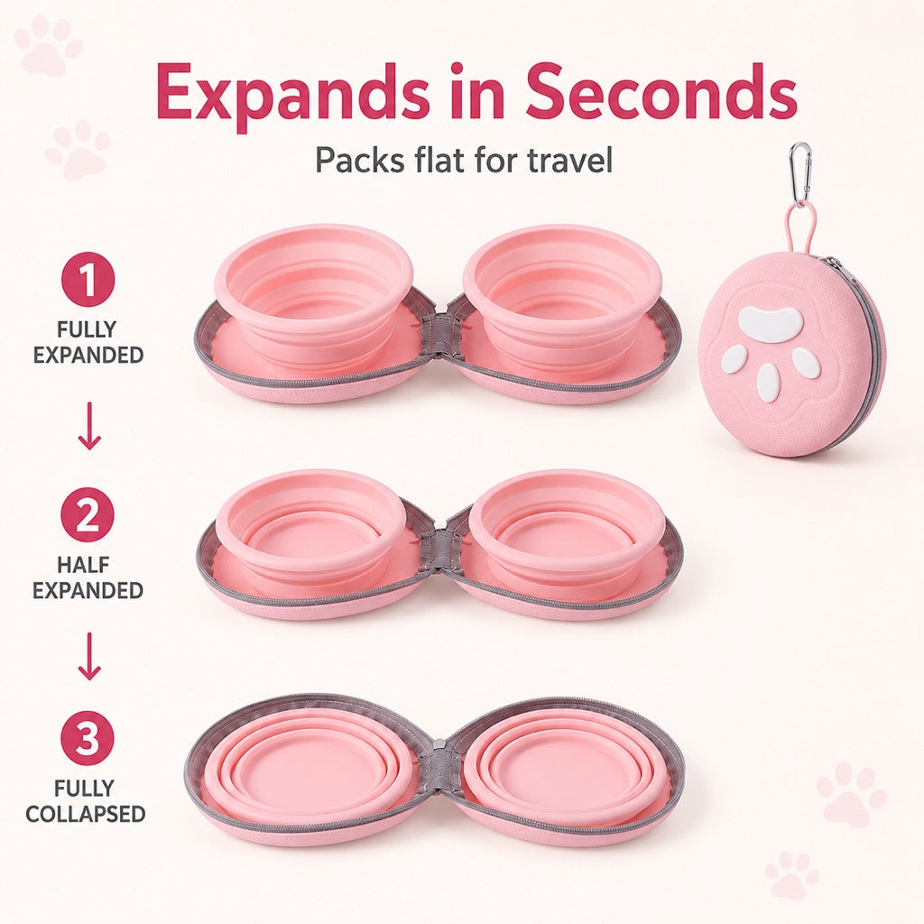 2-in-1 Collapsible Pet Travel Bowl for Walks and Road Trips