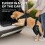Full-Body Dog Lift Harness with Dual Rear-Leg Sleeves
