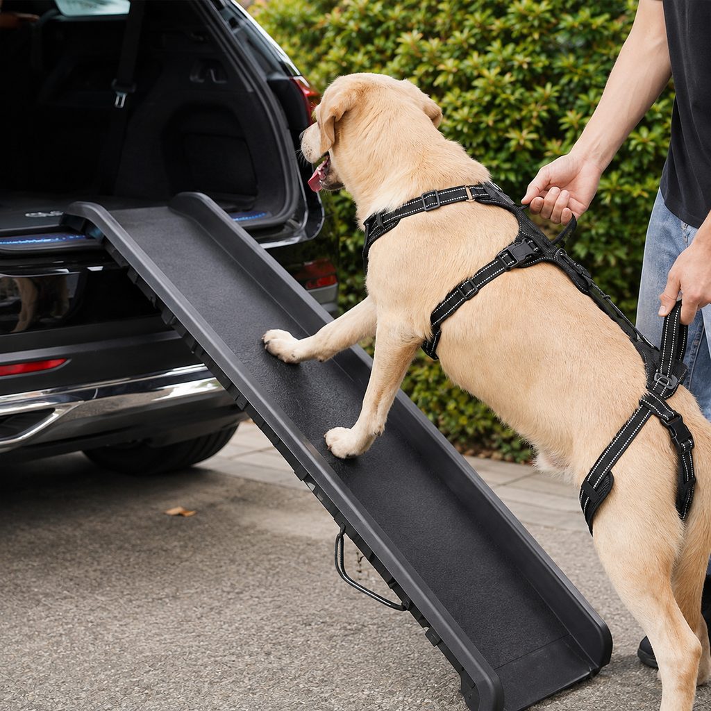 Full Body Dog Lift Harness for Stairs and Car