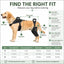 Full-Body Dog Lift Harness with Dual Rear-Leg Sleeves