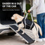 Full-Body Lift Harness for Large Senior Dogs