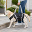 Full-Body Lift Harness for Large Senior Dogs
