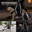 Full-Body Lift Harness for Large Senior Dogs
