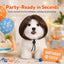 Funny Short Bob Pet Wig for Cats & Small Dogs