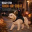 Grim Reaper Rider Pet Costume for Halloween