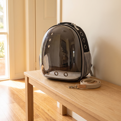 Carrier backpack in a warm home entryway
