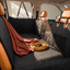 Back seat dog bed styled in colour