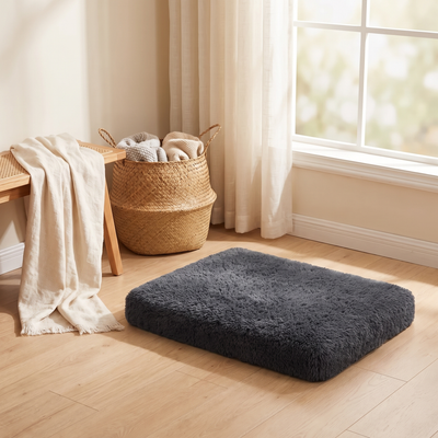 Pet mattress in a sunlit living room corner