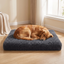 Dog asleep on the plush foam mattress
