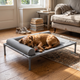 Elevated Mesh Dog Bed with Removable Cushion - gray / L