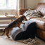 Memory Foam Pet Stairs with Non-Slip Washable Cover - Black / S
