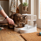 3.2L Compact Gravity Pet Feeder and Water Dispenser Set