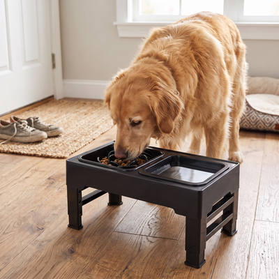 Raised Pet Feeder with Slow Feeder and No-Spill Bowl