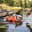 FloatGuard Dog Life Jacket - Orange