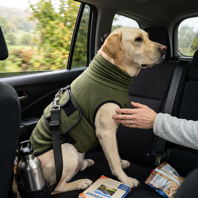 Dog Calming Shirt with Ear Hood - Green
