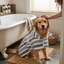 Wearable Microfiber Dog Drying Towel - Gray