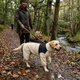 Full-Body Waterproof Dog Rain Suit for Muddy Walks - Sand