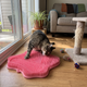 Cat Scratch & Massage Mat – Pink
