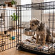 Inside-Crate Hanging Pet Bowl – Steel
