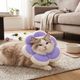 comp5-8
