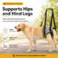 Rear Support Dog Sling Harness for Stairs & Car Rides