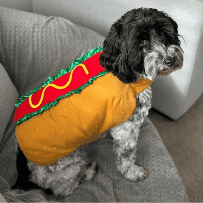 Hot Dog Halloween Costume with Mustard & Bun