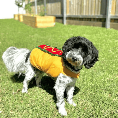 Hot Dog Halloween Costume with Mustard & Bun
