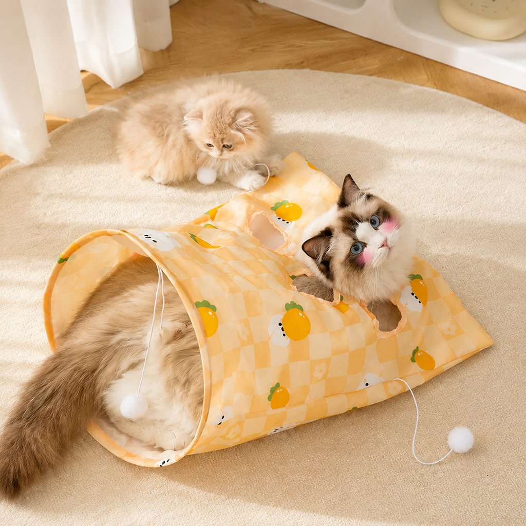 Interactive Cat Crinkle Play Sack for Indoor Cats