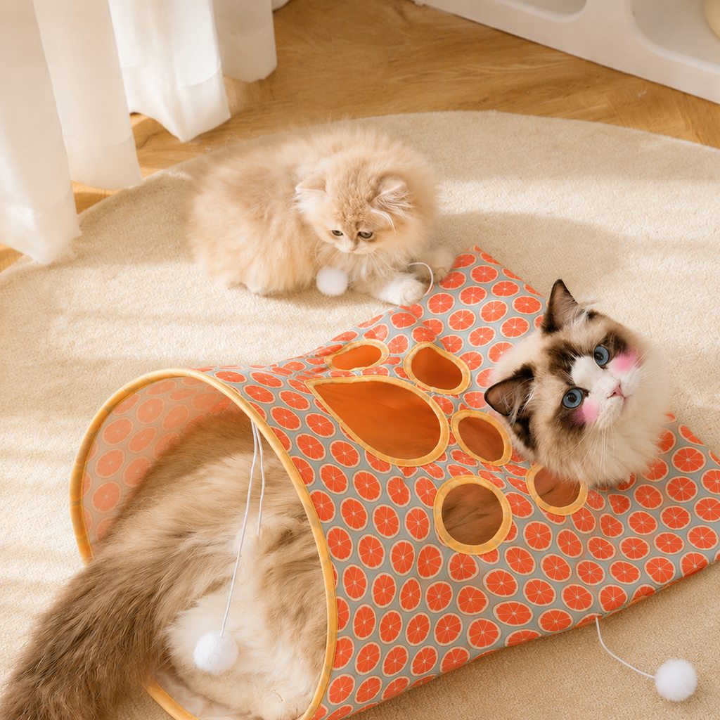 Interactive Cat Crinkle Play Sack for Indoor Cats