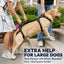 Full Body Dog Lift Harness for Stairs and Car