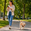 Retractable Dog Leash with Reflective Tape