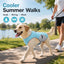 Dog Cooling Vest for Summer Walks - Wet-to-Cool Jacket