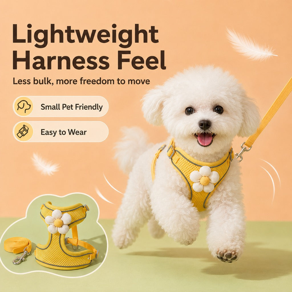Daisy Pet Harness & Leash Set for Small Dogs & Cats