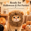 Lion Mane Costume Headpiece for Cats & Small Dogs