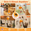 MiaSpin 360 Rotating Cat Teaser Toy, USB-C