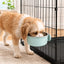 Crate-Mounted Stainless Steel Pet Bowl for Kennels