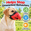 Adjustable Parrot Beak Dog Muzzle for Walks