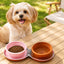 2-in-1 Collapsible Pet Travel Bowl for Walks and Road Trips