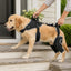 Full-Body Dog Lift Harness with Dual Rear-Leg Sleeves